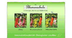 Desktop Screenshot of blumenschule.de
